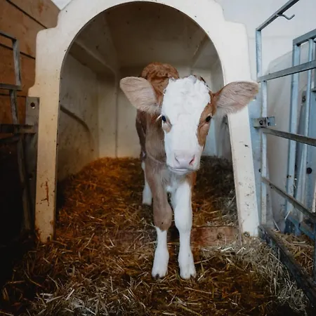 Knollgut Buchberg Apartment