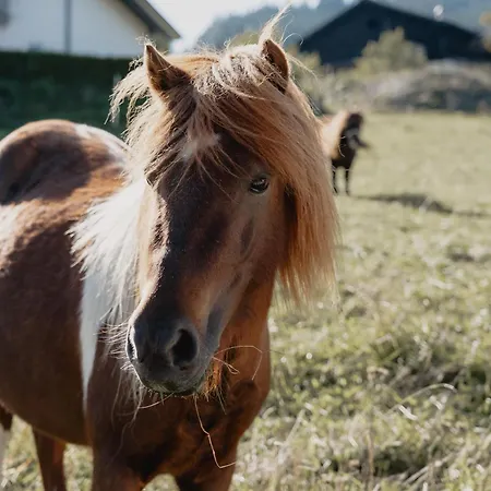 Knollgut Buchberg דירה גולדג